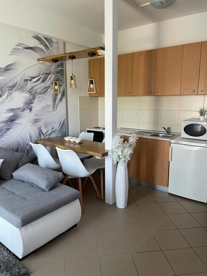 Apartman Lukic บันยา โควิลยาชา ภายนอก รูปภาพ