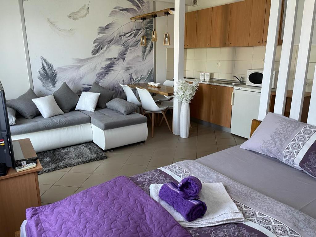 Apartman Lukic บันยา โควิลยาชา ภายนอก รูปภาพ
