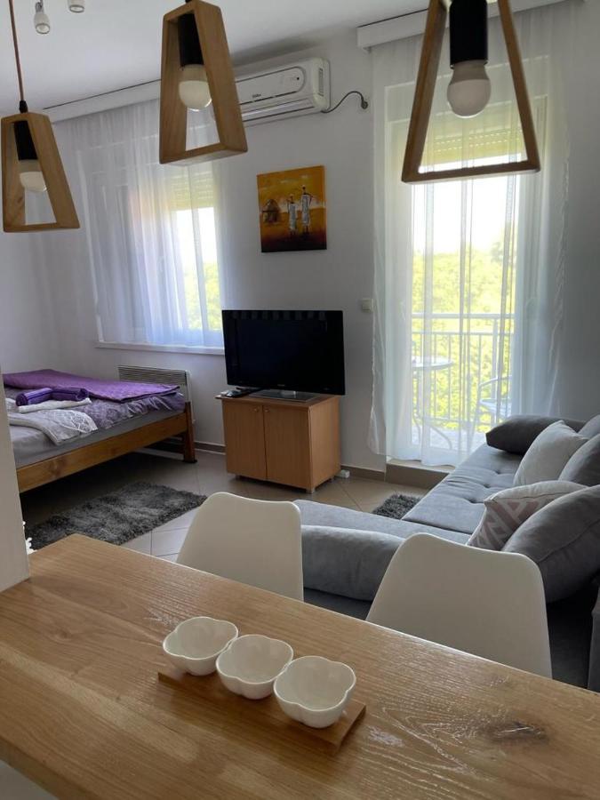 Apartman Lukic บันยา โควิลยาชา ภายนอก รูปภาพ