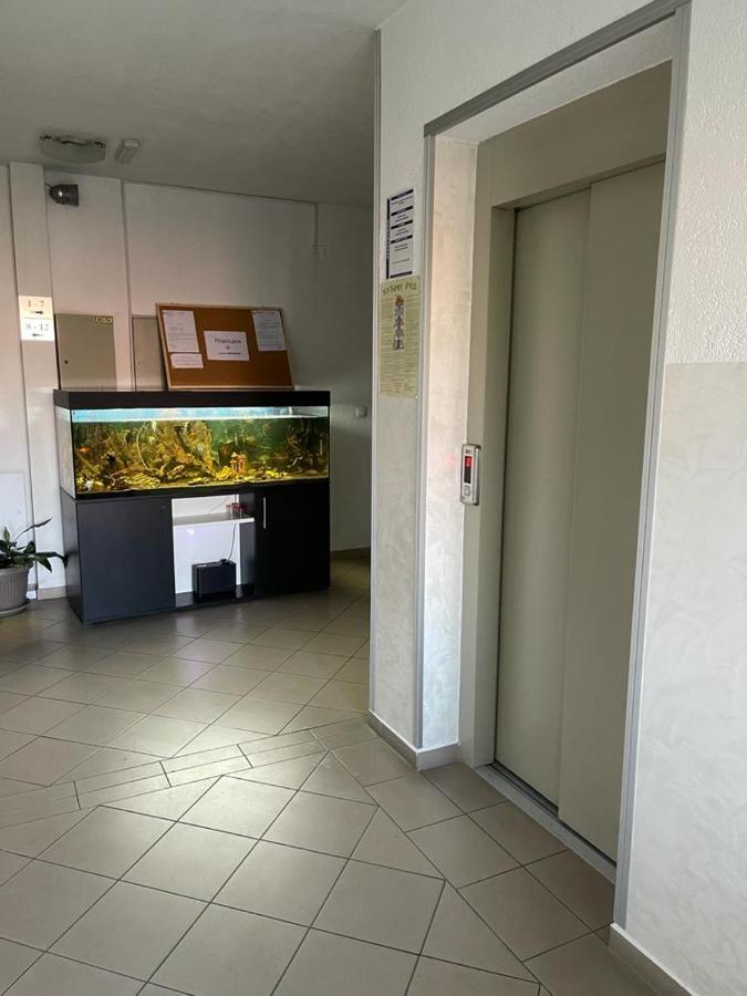 Apartman Lukic บันยา โควิลยาชา ภายนอก รูปภาพ